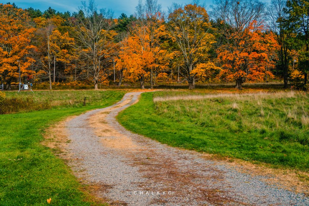 Brookwood-Community-Farm-1