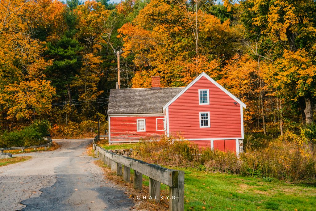 Brookwood-Community-Farm