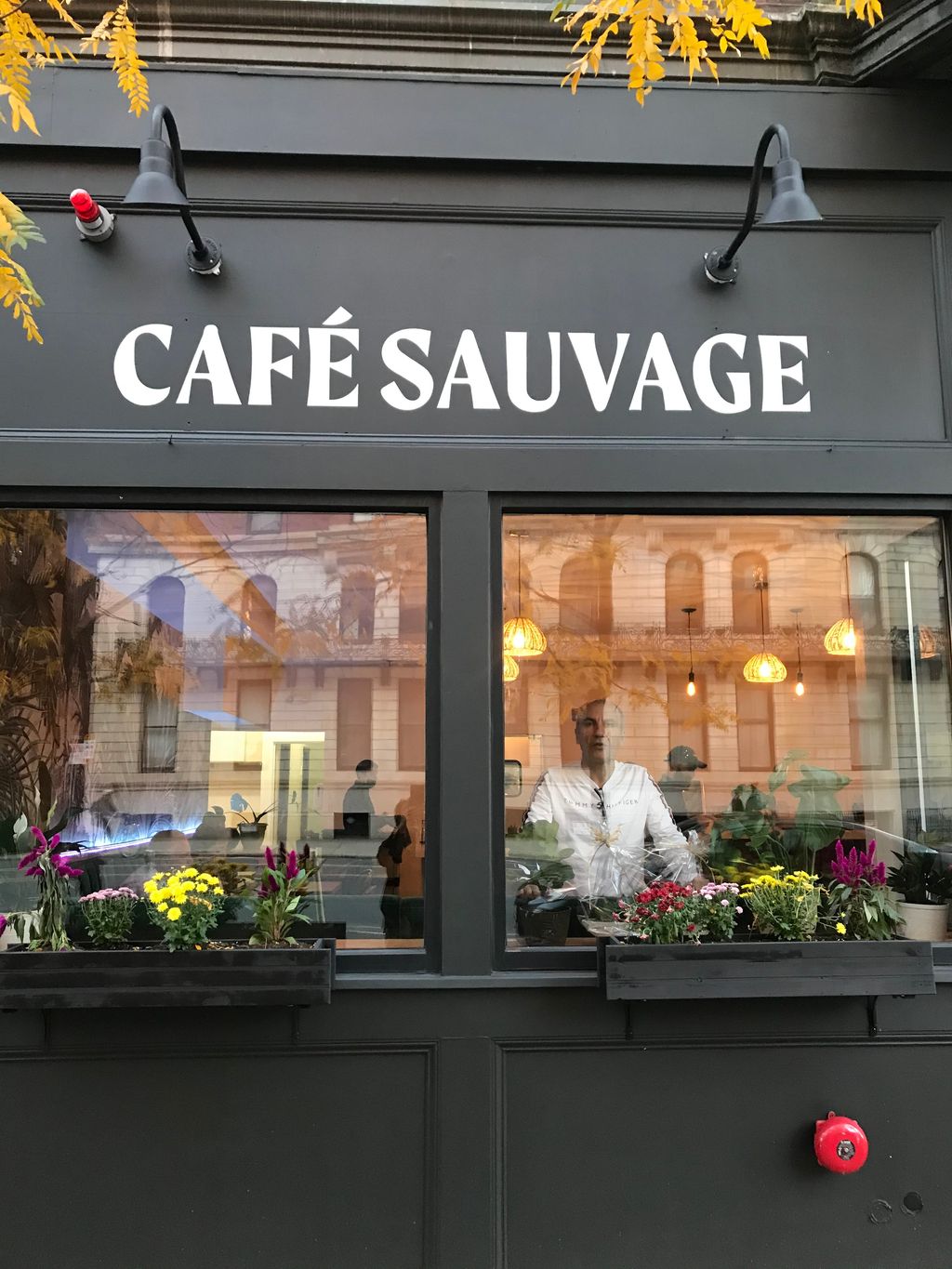 Cafe-sauvage