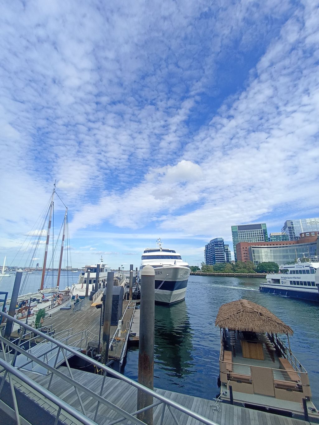 City-Cruises-Boston-Rowes-Wharf