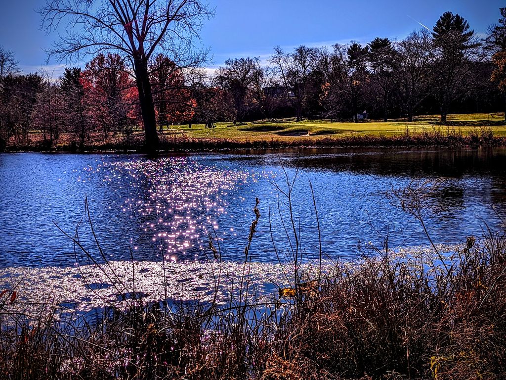 Fresh-Pond-Golf-Course-1