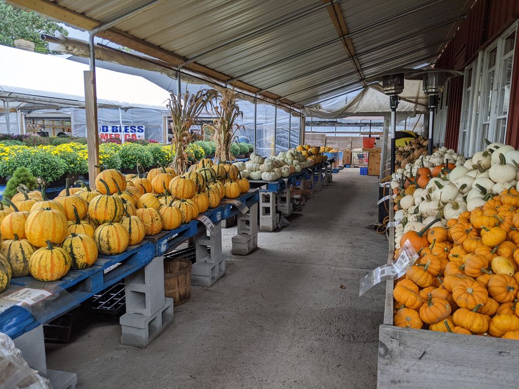 Johnsons-Roadside-Farm-Market-1