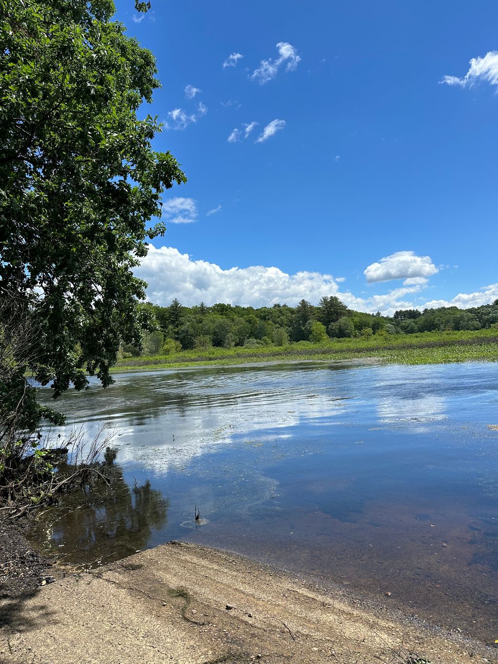 Lake-Williams-Trail-1