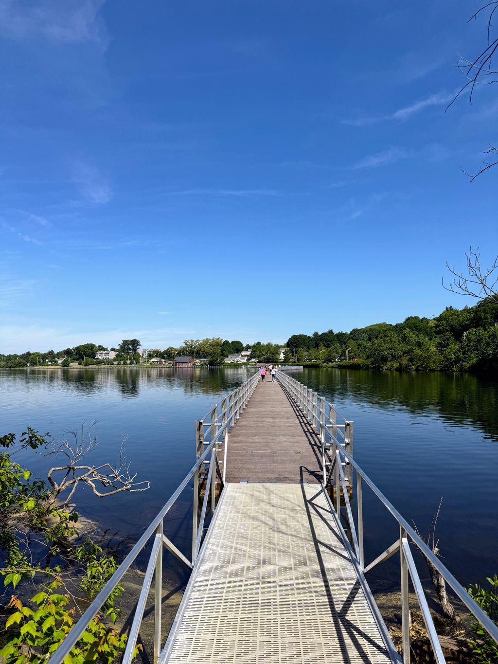 Lake-Williams-Trail