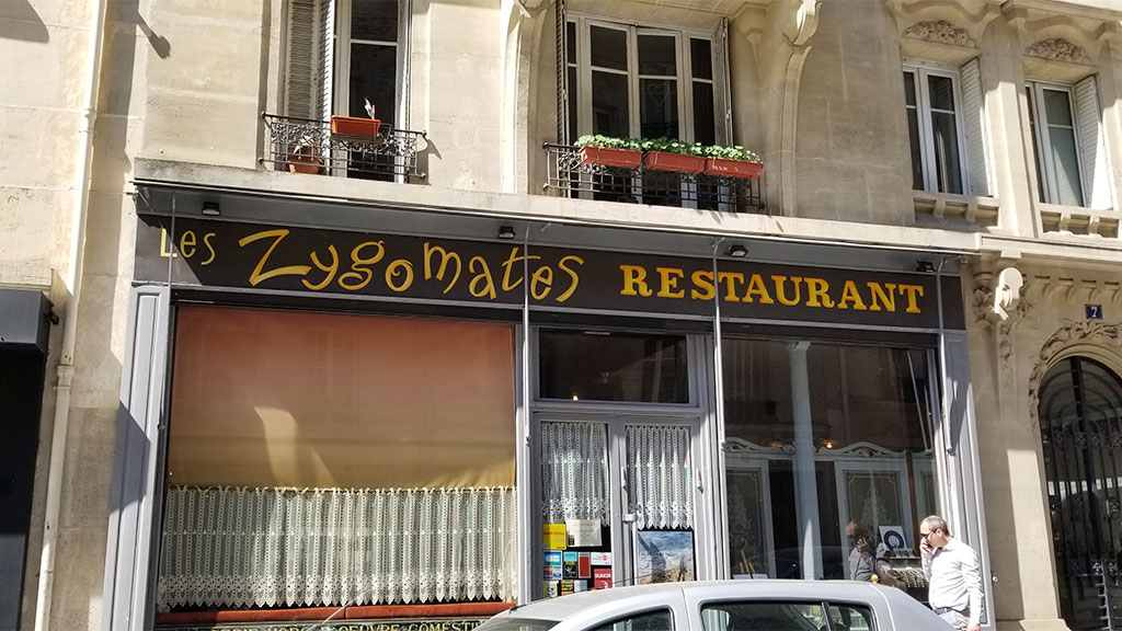 Les Zygomates