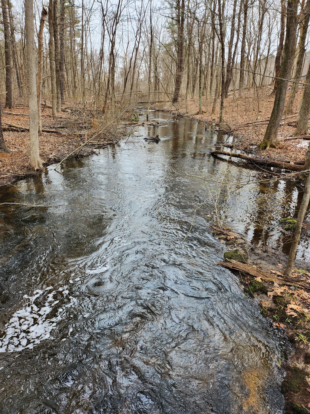 Lime-Kiln-Conservation-Area-1