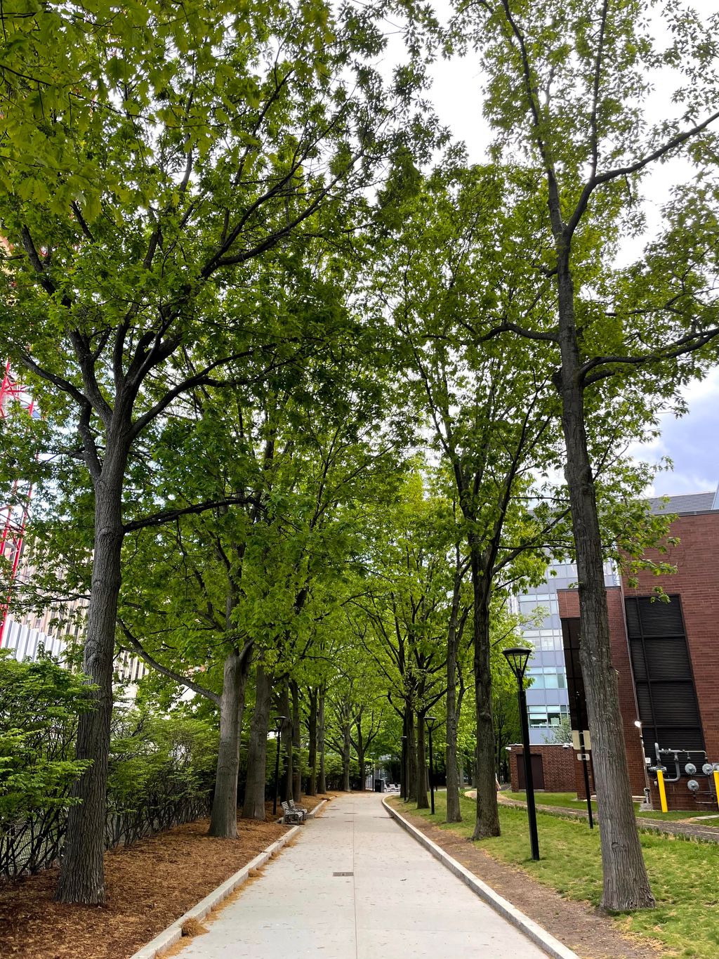 Loughrey-Walkway-And-Bike-Path