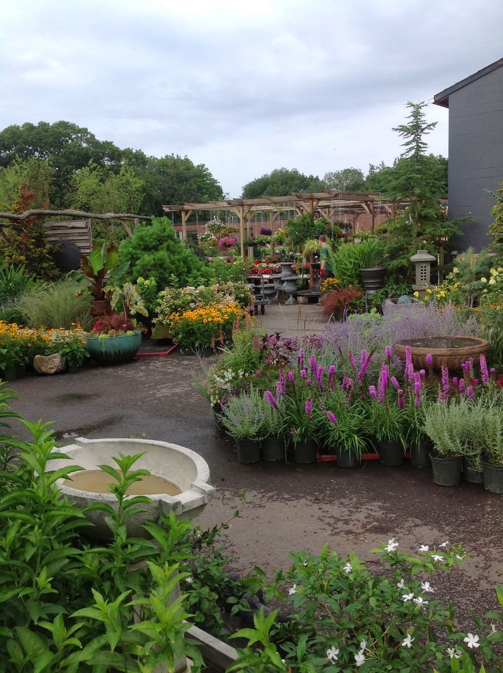 Mahoneys-Garden-Center-Brighton