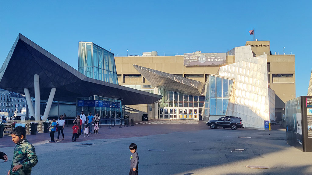 New England Aquarium