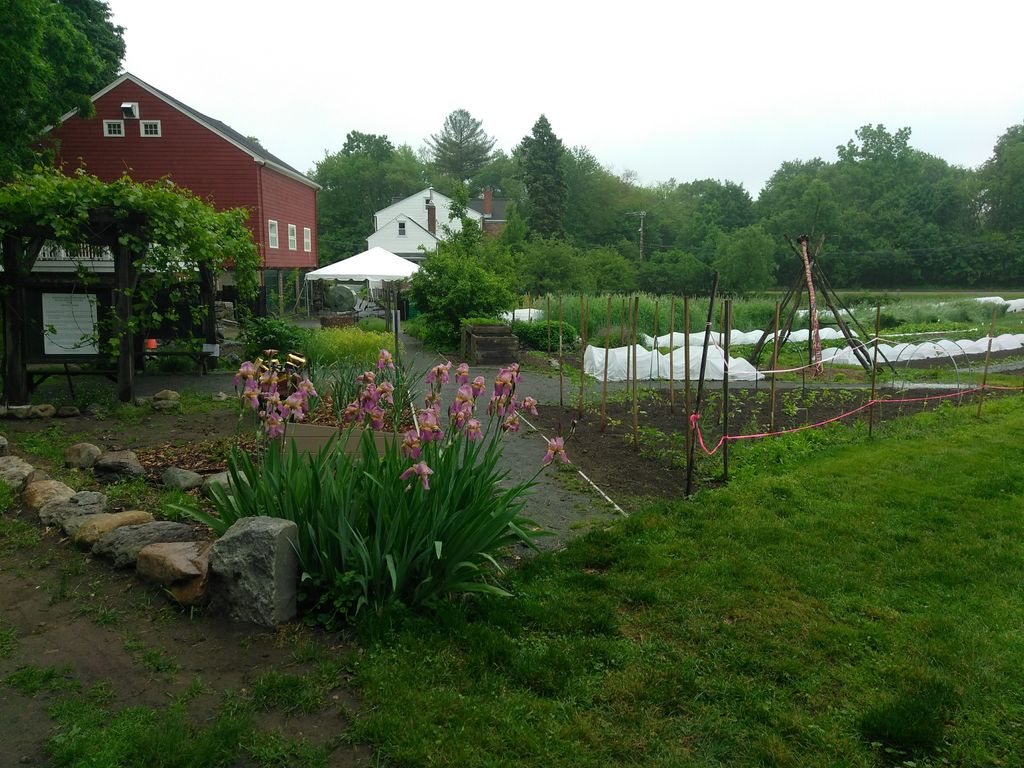 Newton-Community-Farm-1