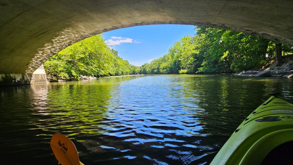 Paddle-Boston-Medford-Condon-Shell