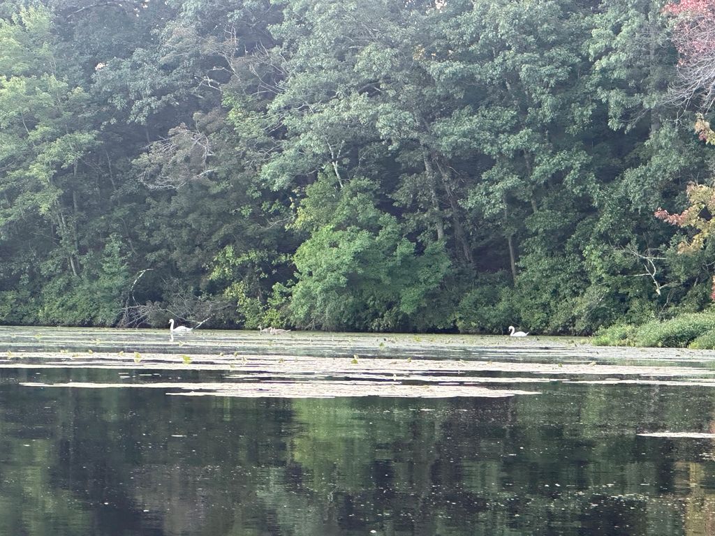 Paddle-Boston-Newton-Historic-Boathouse-1