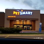 Pet Stores in Worcester, MA for Premium Products and Exceptional Services