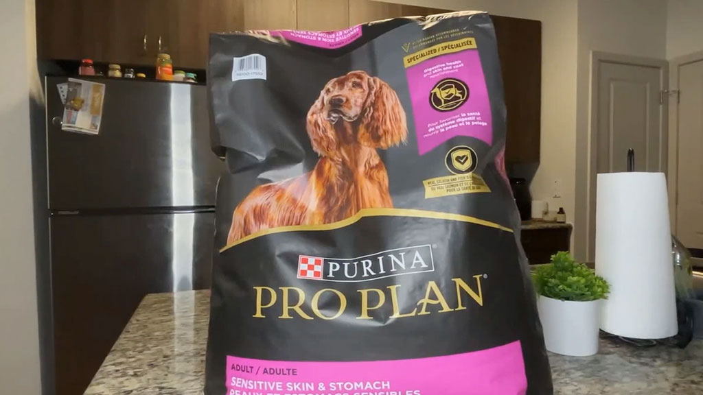 Purina Pro Plan Sensitive Skin & Stomach Small Breed Formula Dry Dog Food