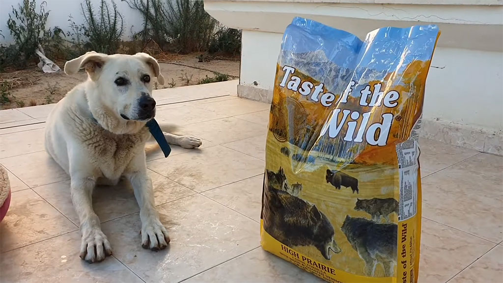 Taste of the Wild High Prairie Grain-Free Dry Dog Food