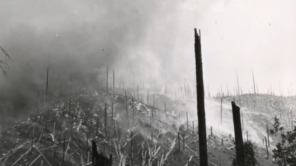 The Tillamook Wildfire Burns of August, 1933 (and again in 1939, 1945, and 1951)