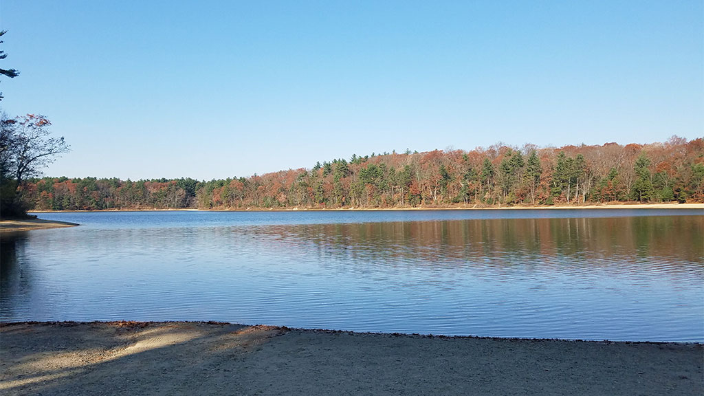 Walden Pond