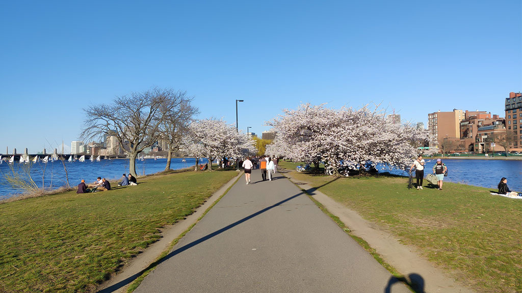 Walk the Charles River Esplanade