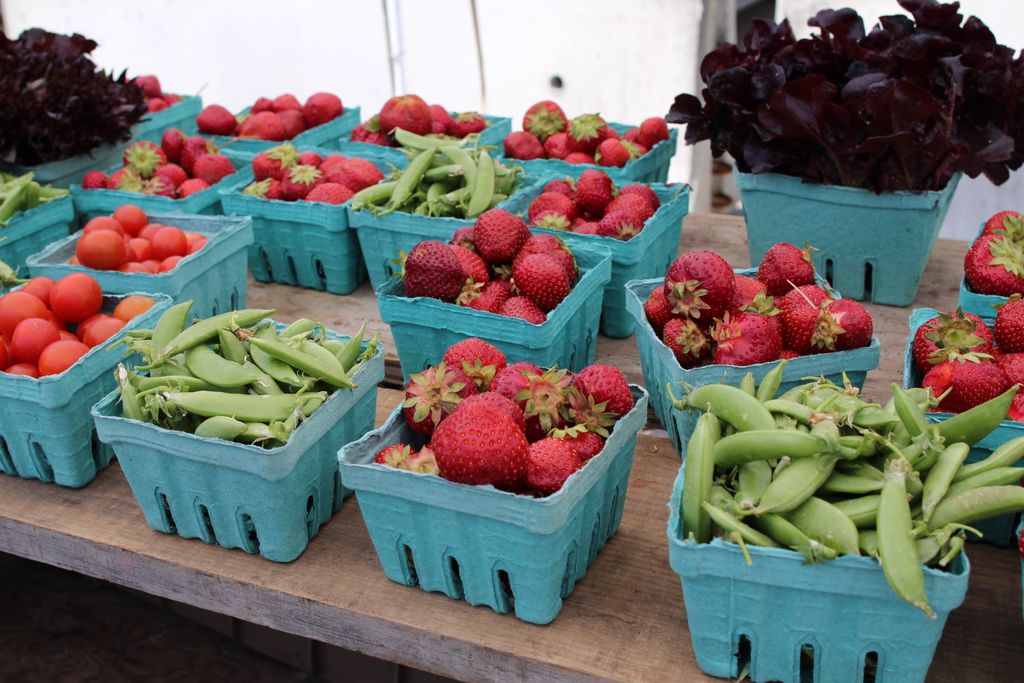 Weymouth-Farmers-Market-2