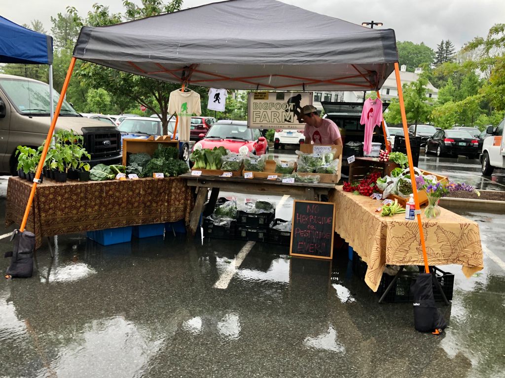 Williamstown-Farmers-Market