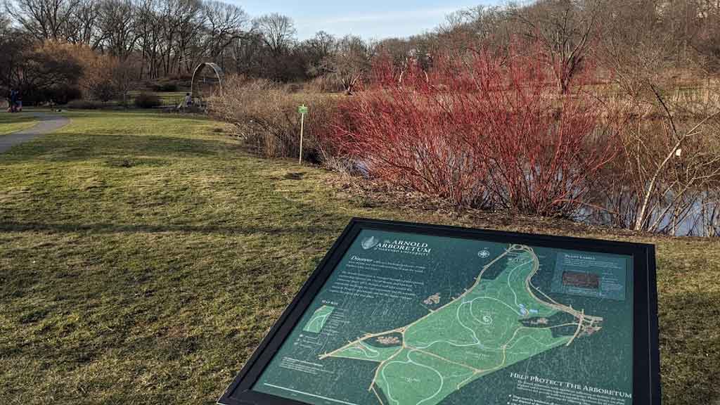 Arnold Arboretum (Boston)