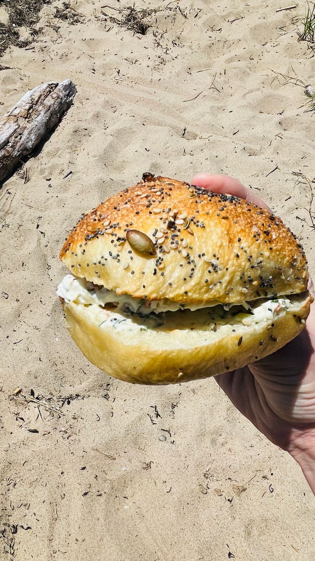 Bagel-Hound-Ptown