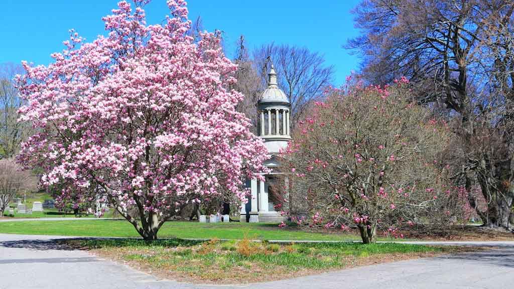 Mount Auburn Cemetery (Cambridge)