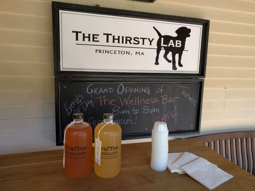 The-Thirsty-Lab-2