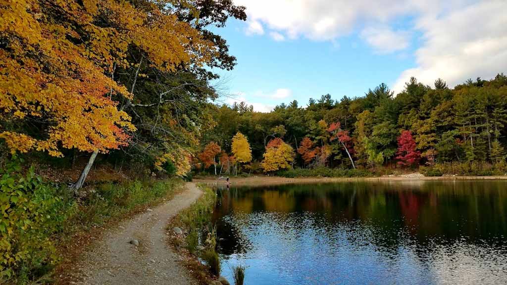 Walden Pond State Reservation (Concord)