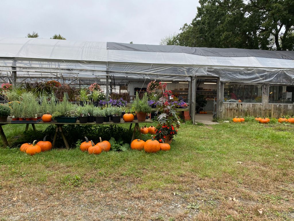 Applefield-Farm-Stand