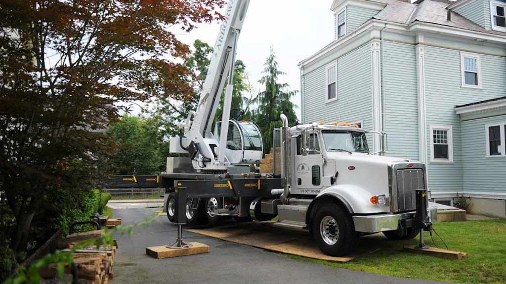 Arborway Tree Care