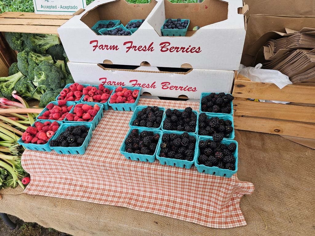 Bass-River-Farmers-Market-1