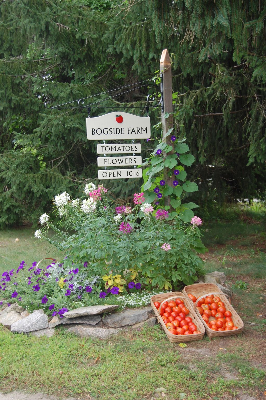 Bogside-Farm