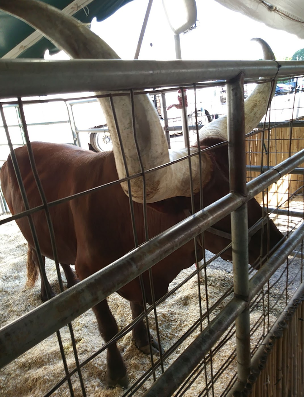 Brockton-Fairgrounds-Farmers-Market