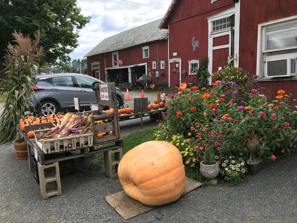 Butynski-Farm-Stand-1