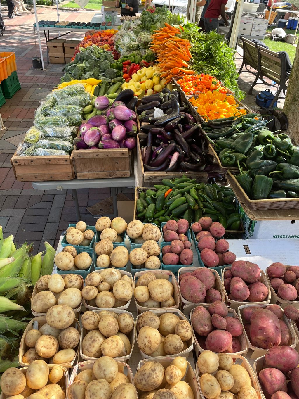 Copley-Square-Farmers-Market-1