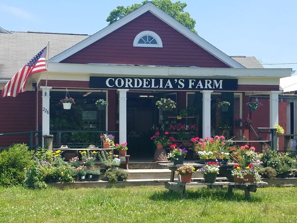 Cordelias-Farm-2