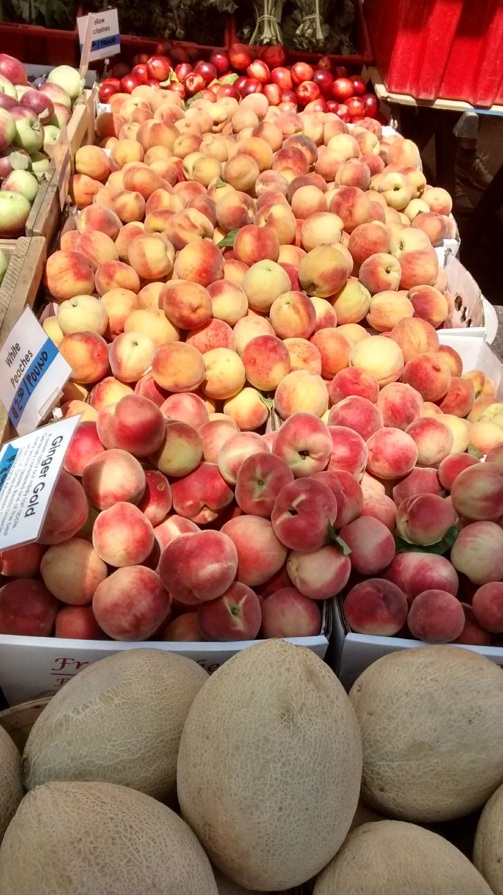 Davis-Square-Farmers-Market-1