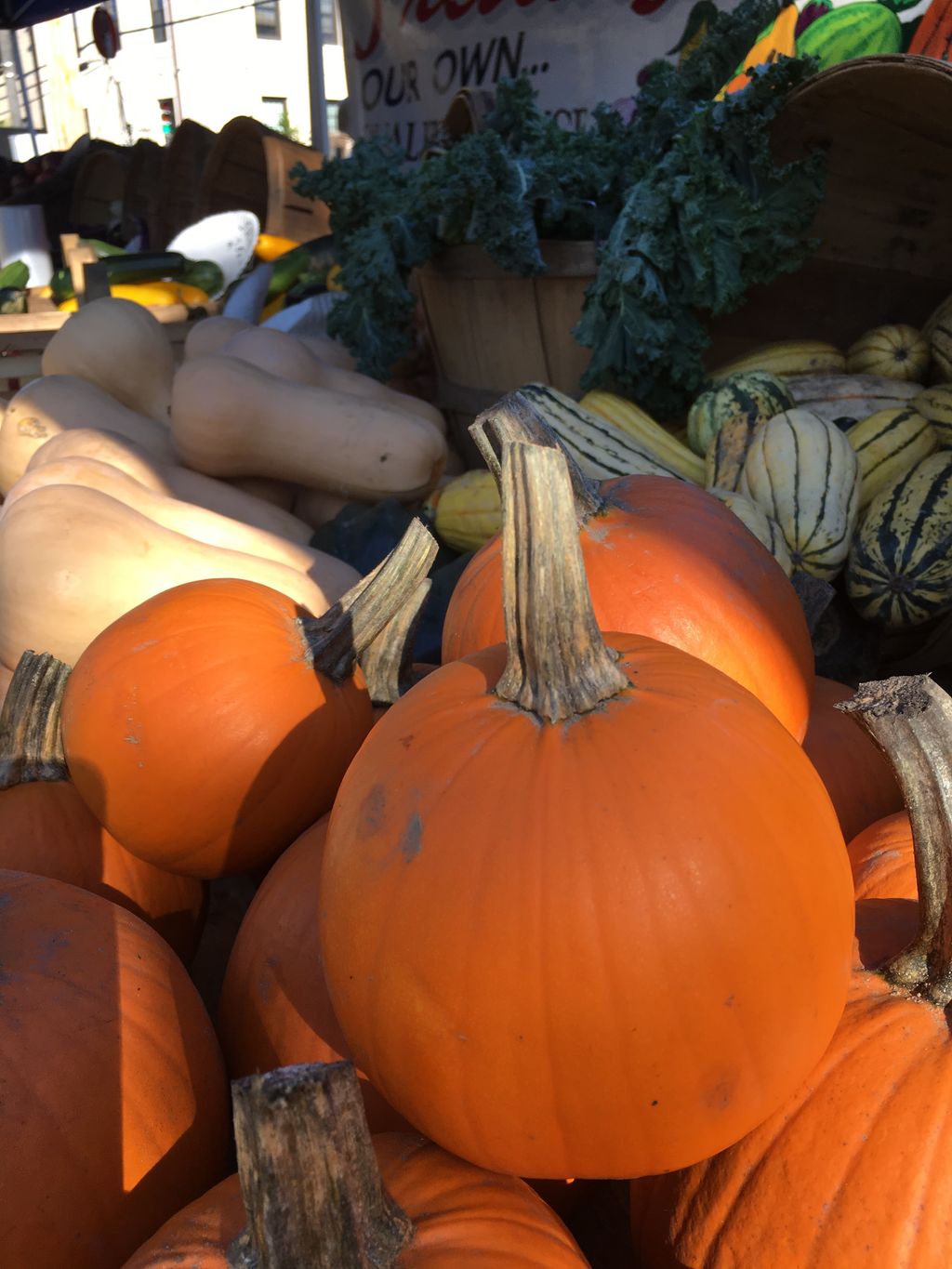 Dedham-Summer-Farmers-Market-2