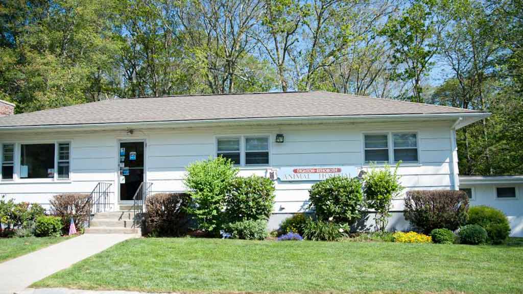 Dighton Rehoboth Animal Hospital, Inc