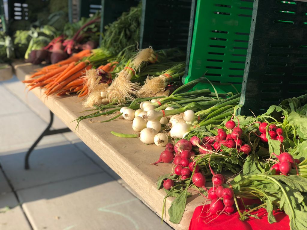 East-Boston-Farmers-Market-1