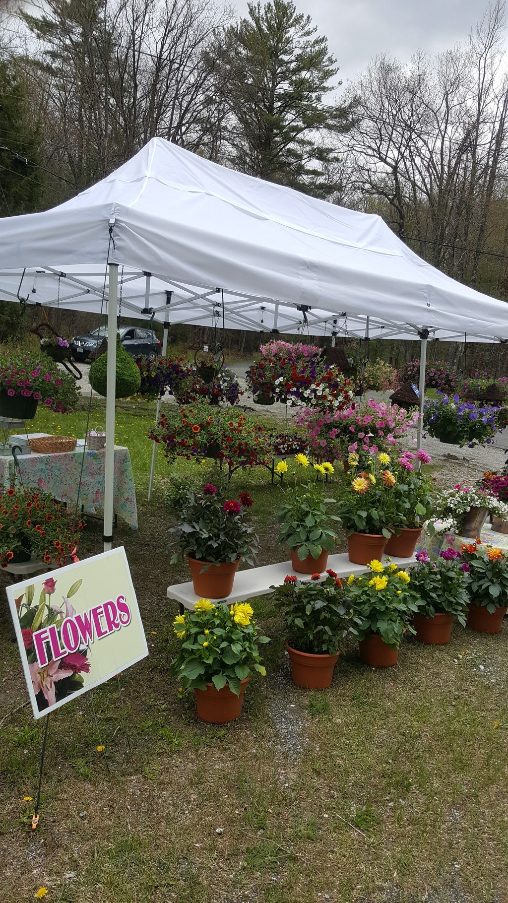 Farm-Stand-Berkshire-Serenity-Gardens