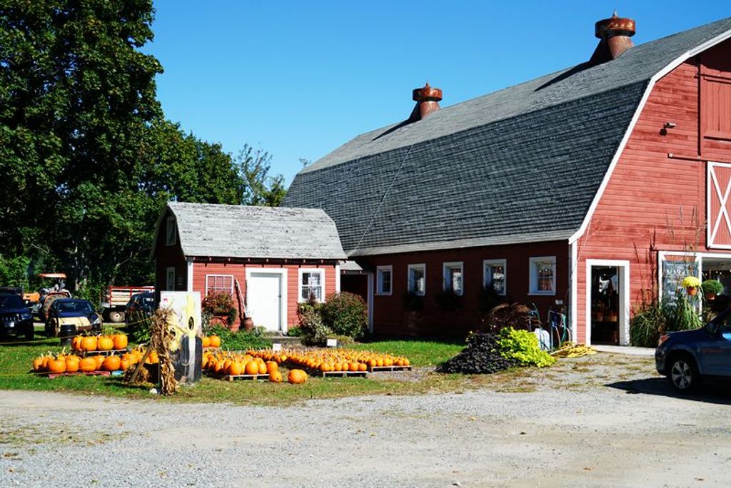 Farmer-Daves-Farm-Stand-and-CSA