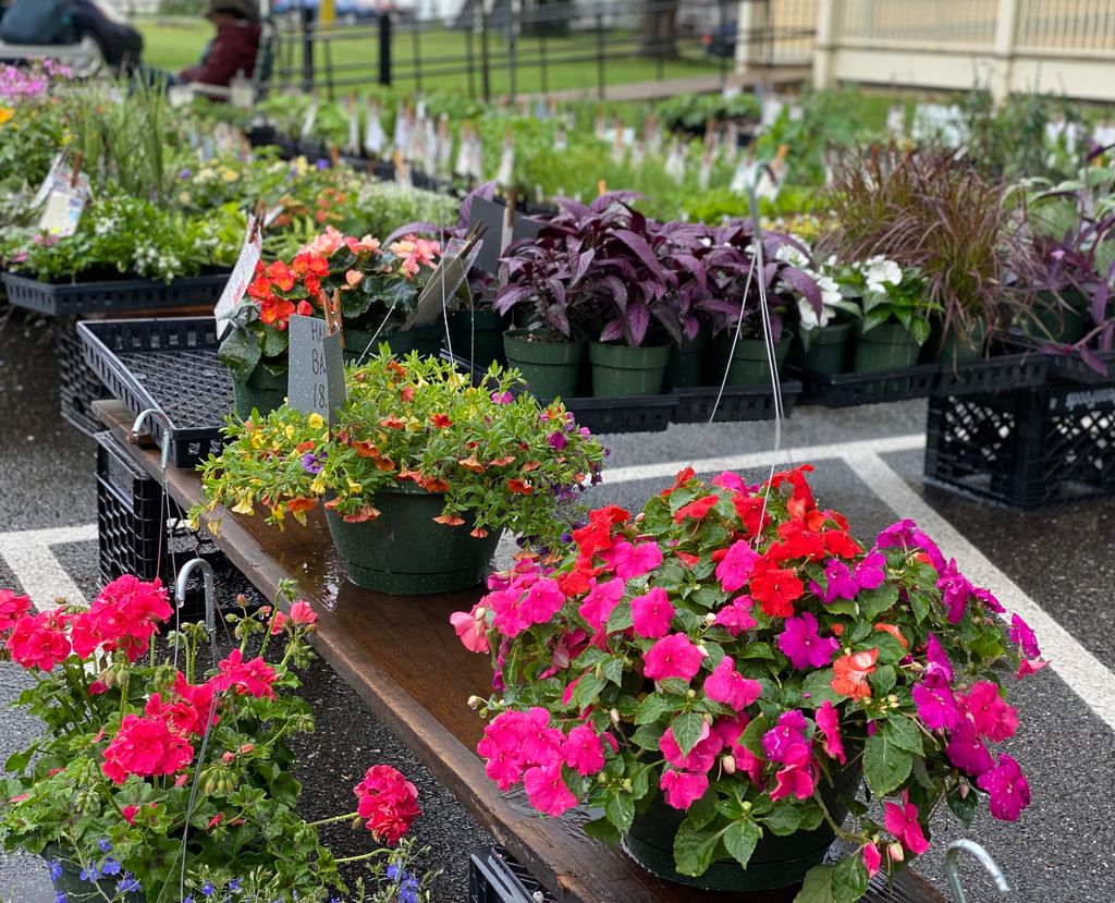 Florence-Farmers-Market