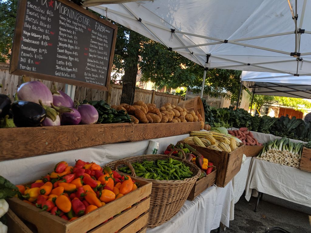 Great-Barrington-Farmers-Market-1