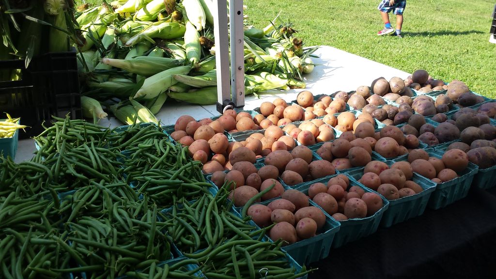 Groton-Farmers-Market-1