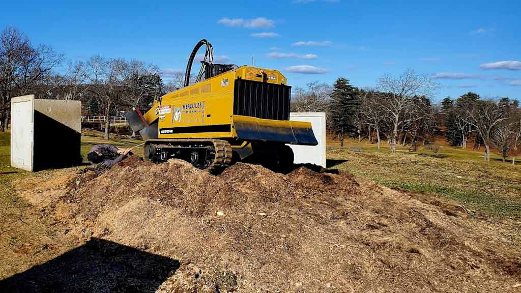 Hercules Stump Grinding