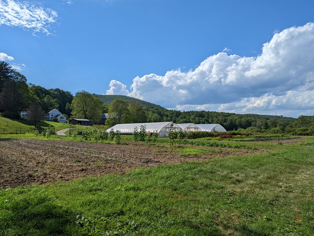 Indian-Line-Farm