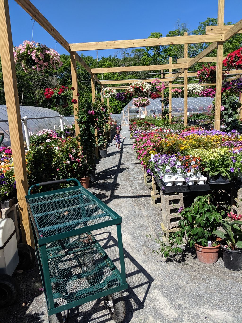 Marshalls-Farm-Stand-and-Greenhouses