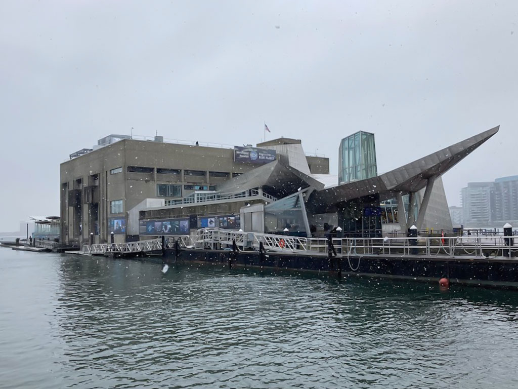 New England Aquarium